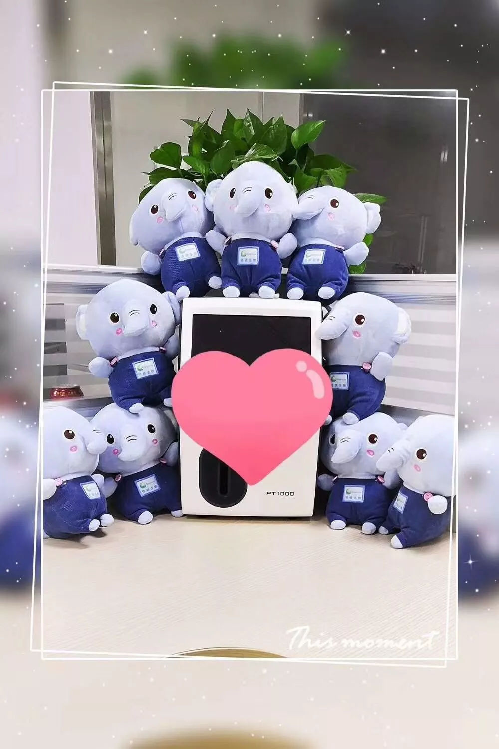 明小象 明小象